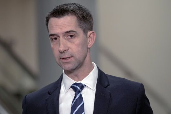  ������ ��������� cnn 