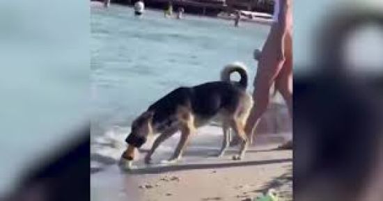  ����� ���� ����� �������� ������ 