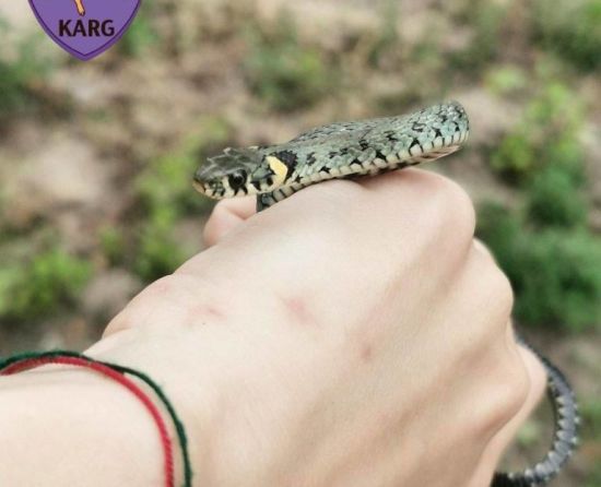  ����� �������� �������� 