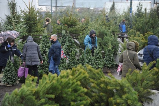  ���� ��� ����-2022 ������ 