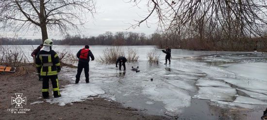  ������� ����� ����� ���������� ��� ����� 