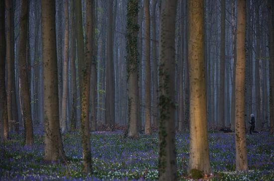  ���� ������ ������� ����������� �������� 