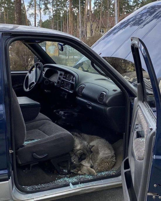  ���������� ������ ���� 