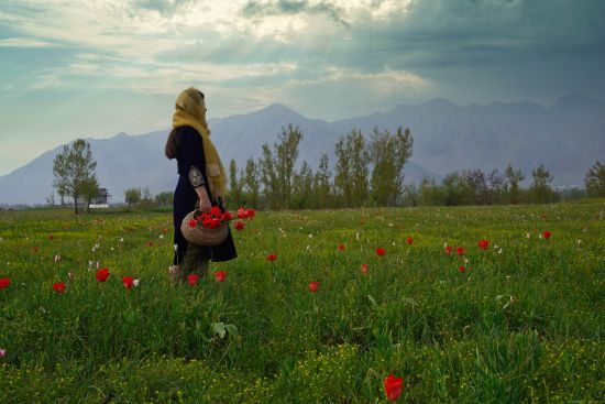  ��� ���� ���� �������� ������� ����� ���� ������� 