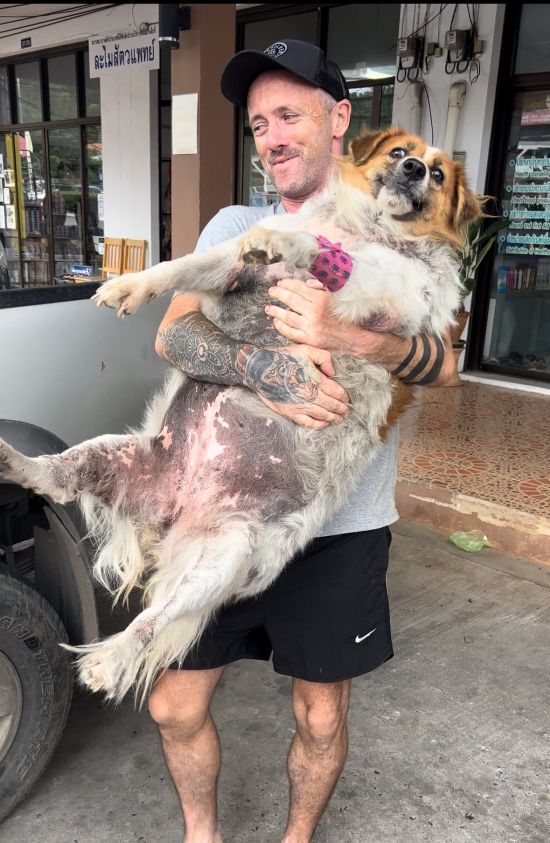 ����: ru.tsn.ua