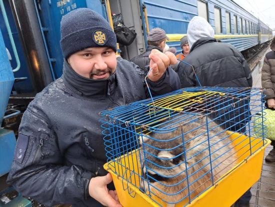 ����: ru.tsn.ua