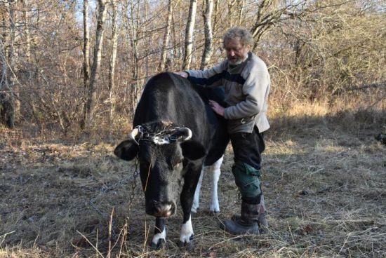  ������� ������� ��� ���� ������ ������� ��������� ����������� 