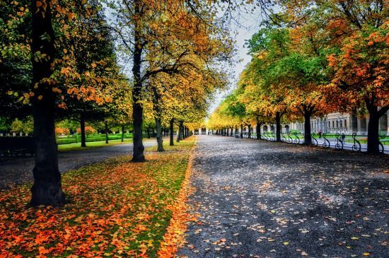  ��� ���� �������� ���� ������� ����� ����� ��������� 