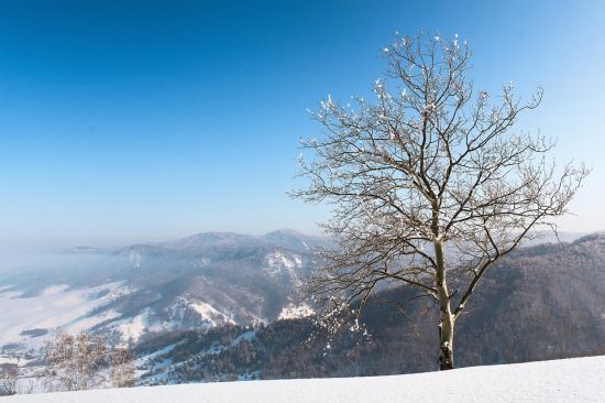 ����: ru.tsn.ua