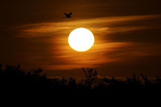  ������ ������ ������� ������ �������� ������ ����� 