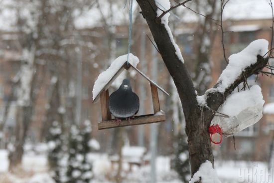  ������ ����� ����� ������ 