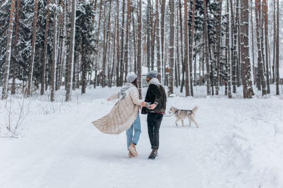  �������� ������� ��������� ��������� 