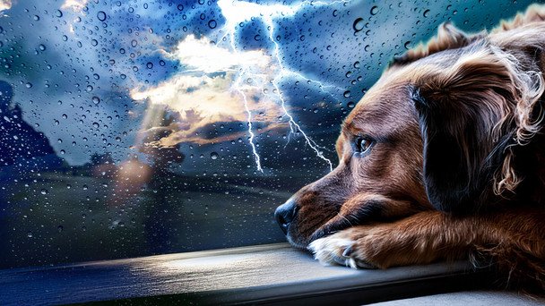 Прогноз погоди на жовтень / © ТСН