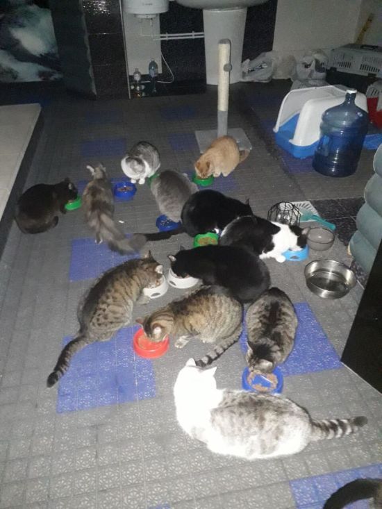 ����: ru.tsn.ua