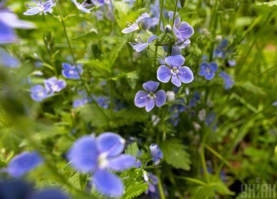  2022 ����� ����������� ������ ����� 