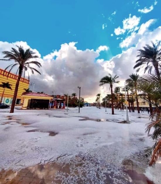  ������ ������ ������ 