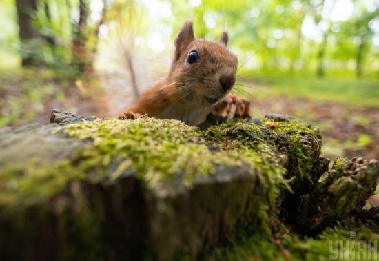  ���� ���� ���-��������� ����� ��������� ����������� 2022 ��������� 