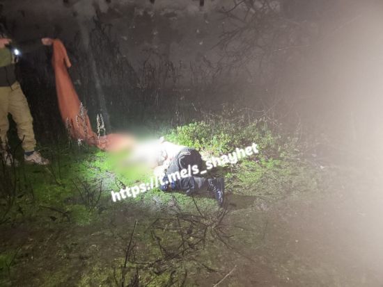  ������� ����������� ����� ������ ������� 