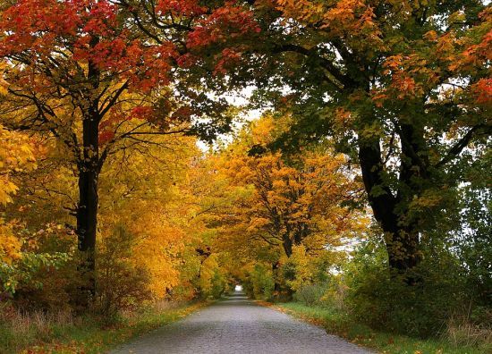  ������ ������� ������� 