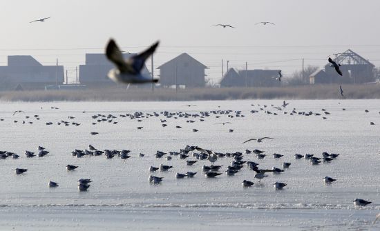  ������� ����� ������ ����� ���������� 