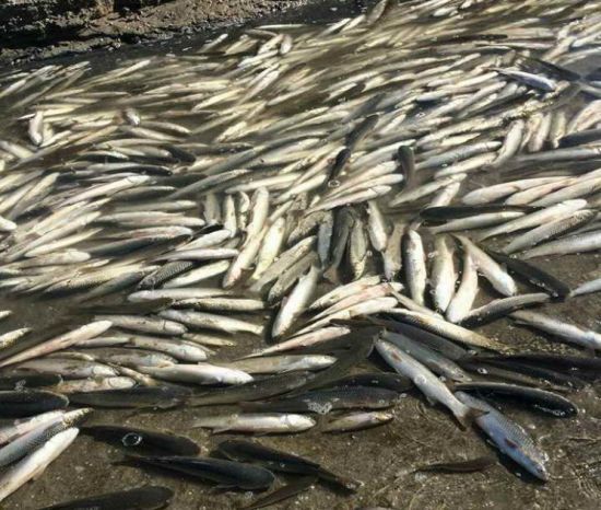  ���� ����������� ���� ������� ���� ��������� �������� �������� 