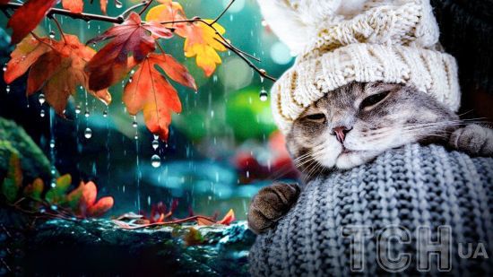  ���� ������� ������ ����� ����������� �������� ��������� ������� 