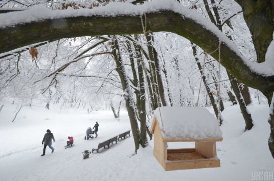  ���� ����� ������� ���� ����� ������ �������� ����������� 