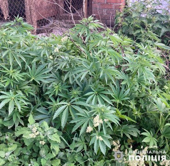  ������� ����������� ������� 