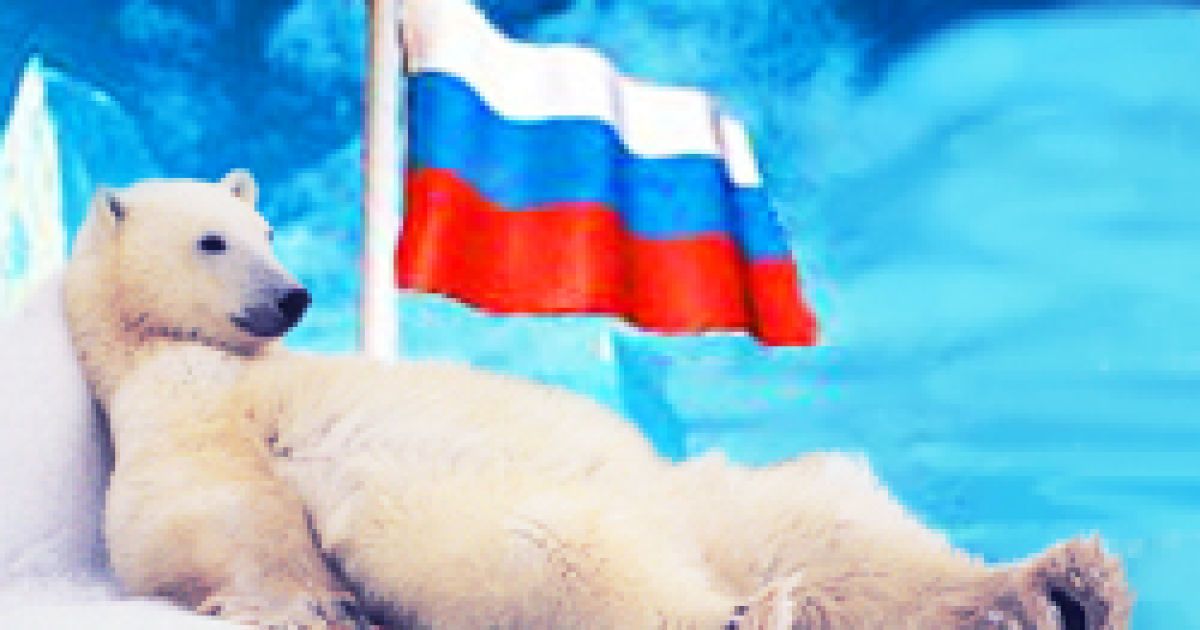 Цитата о северном полюсе Цитата о северном полюсе