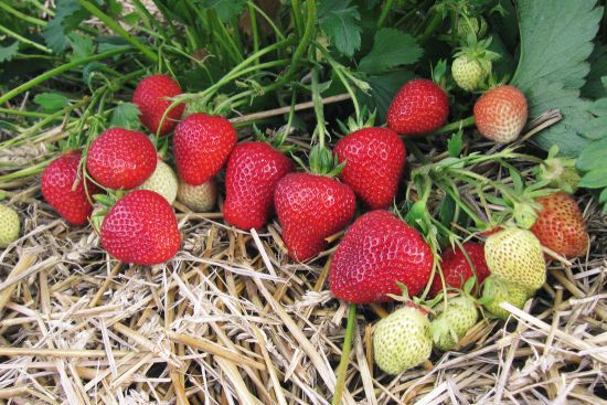  �������� ������ �������� ������������� ���� ��������� ����� �������� 