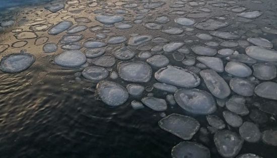  ��� ������� ������ ������� ����������� 