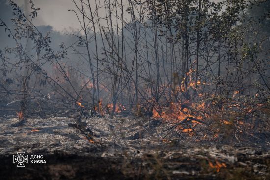  ����� ���� �������� ���������� ����� 