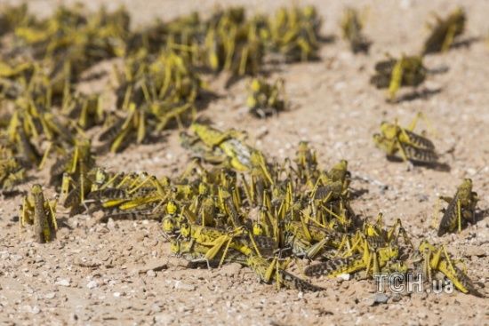  ������� ������� ��������� ������� ������������ ��������� ��������� ������� 