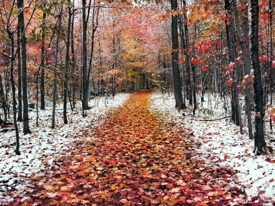  ����� ����� ���� ����������� ������ ������� �������� ������� 