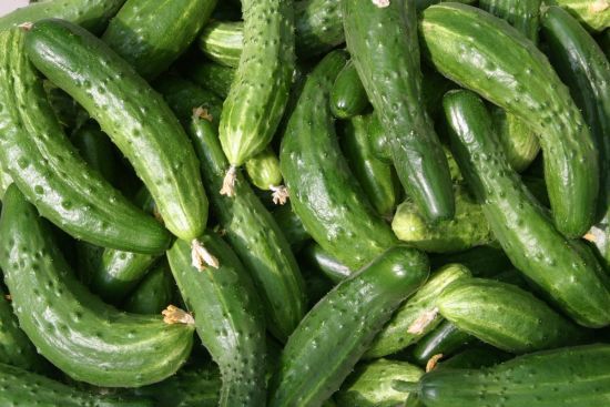  ������ ����������� ���� ��� ������� 