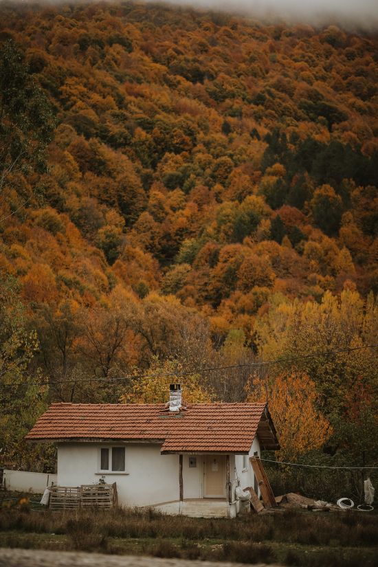  ��� ������� ���� ���������� ���� ���� ����� ������� 