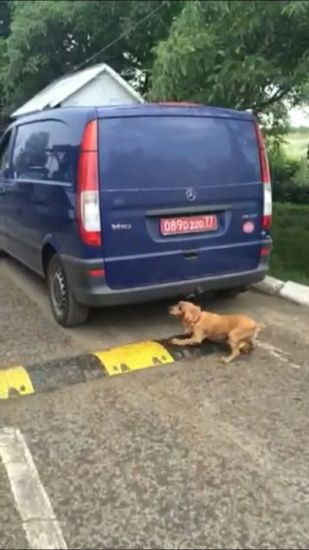  ������ ����������� �������� ������ 