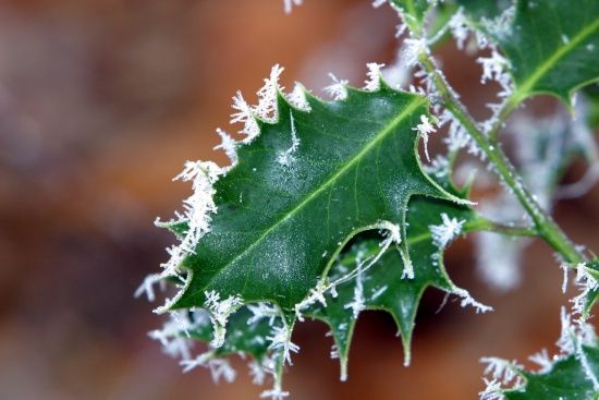  ��������� ������������� ������ ���������� ������� 