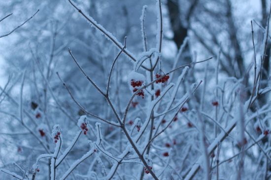  ������� ������� ������� ������� 