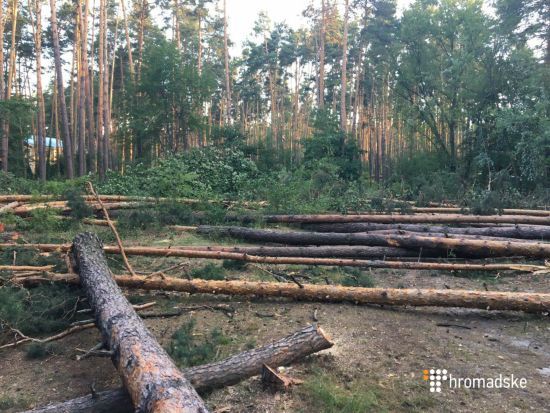 Протест против вырубки леса: киевляне заблокировали дорогу на Вышгород