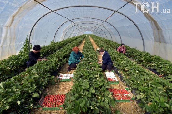  ������ ������� ������� ���������� ������ ����������-����������� 