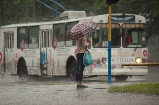  ������� ������� ����� ���������� ������� ������ 