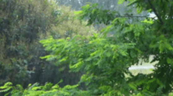  ������� ���� �������� ����� 