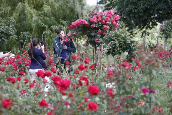  ������ ������ ��������� ��������������� 176 