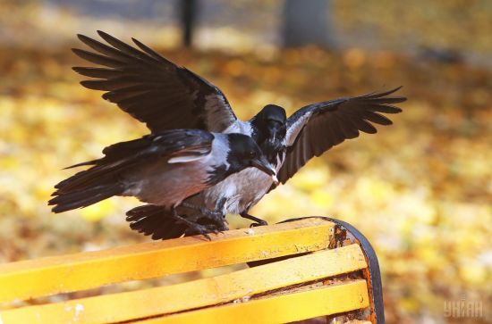  ���� ������ ���� ���������� 