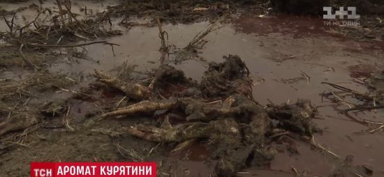  ������ ������� ����� ��������� ������ ��������� ���������� ������������ 