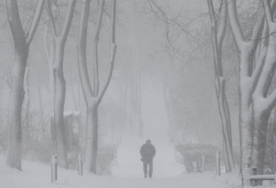  ������� ���������� �������� ������ ���� ������� �������� 