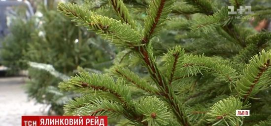  ����� 300 ������ ����������� ������ ������� �������� ����� 