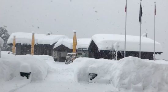  ��������� ����������� ������ �������� �������� 