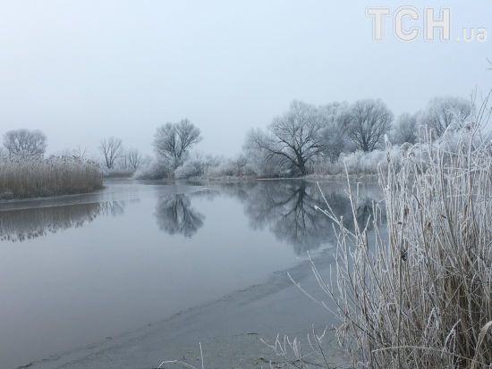  �������� ������ ����� ������ ���� ������� ����������� 5-10 